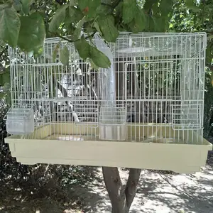 Клетка, Душанбе