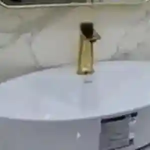 Раковина Велиста, Душанбе