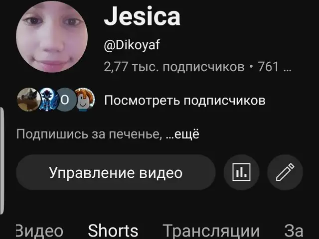 Канал YouTube Jesico, Душанбе