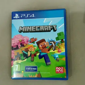 Игра Minecraft, Душанбе