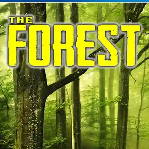 Игра The forest для PS-4 / 6.72 / 9.00 / 11.00 / 11.52 / 12.02 / 13.00 /, Душанбе