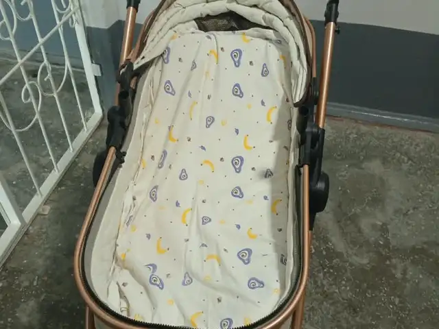 Детская коляска, Канибадам