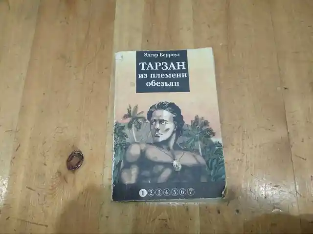 Книга - Тарзан, Хуҷанд