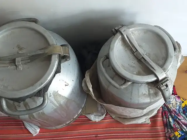 Фляга, Худжанд