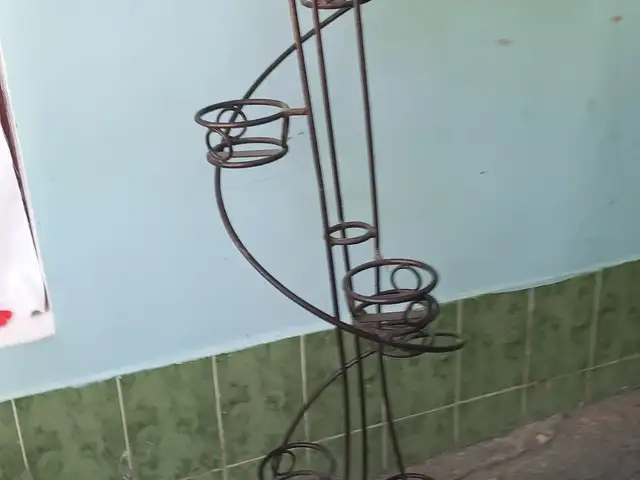 Гулмонак, Хуҷанд