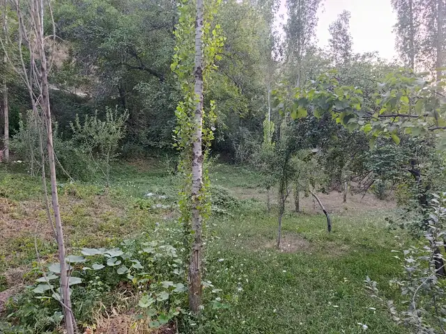 2 этажн. 2-комн. дом, 13 соток, деҳаи Кулоли Ҷамоати деҳоти Рӯдакӣ, Панҷакент - 8