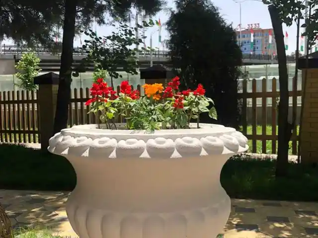 Гулдон классика, Душанбе