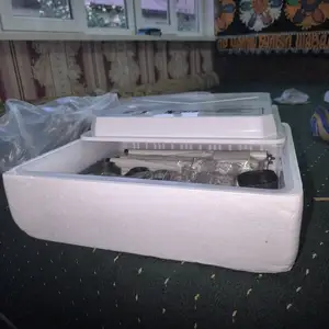 Инкубатор, Душанбе