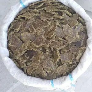 Кунчораи пахта, Душанбе