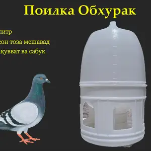 Поилка Обхурак кафтар, Душанбе