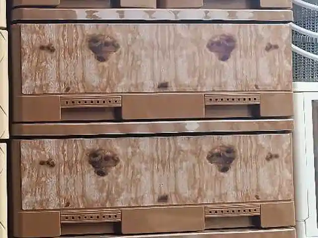 Комод детский, Душанбе