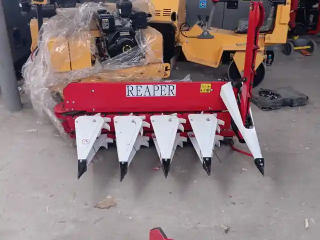 Жатка, Душанбе
