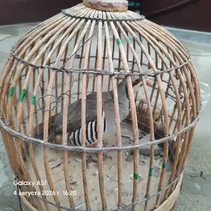 Кабк, Душанбе