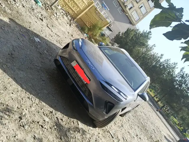 BYD Sea Lion 06