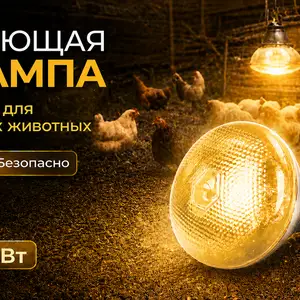 Греющая/Лампаи гармидиҳӣ брудер инкубатор, Душанбе