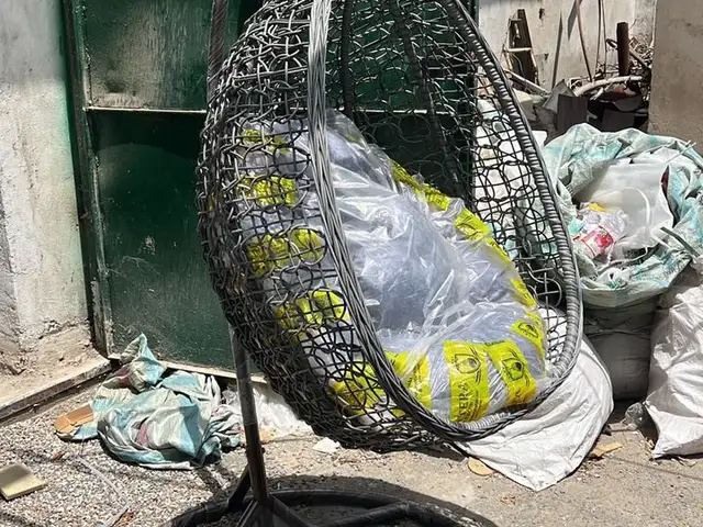 Качели пантера, Душанбе