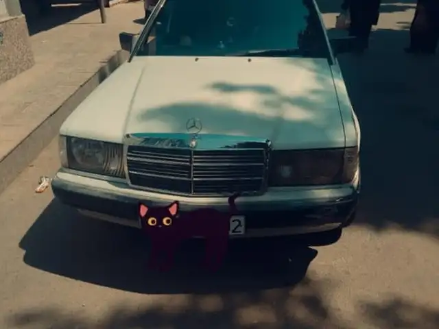 Mercedes-Benz W201