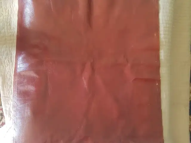 Кожаи тоза, Душанбе
