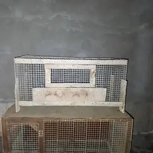 Клетка для птиц, Худжанд