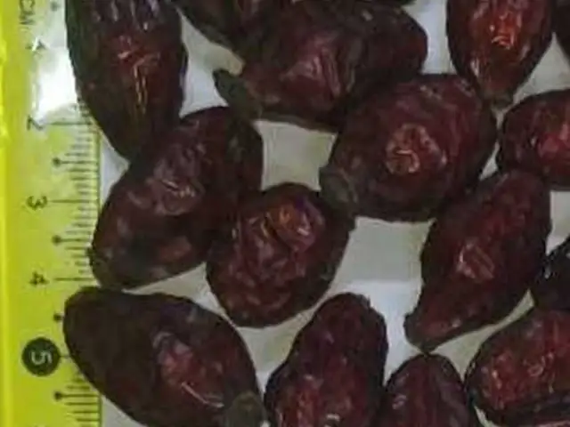 Нихоли шиповник, Хуҷанд