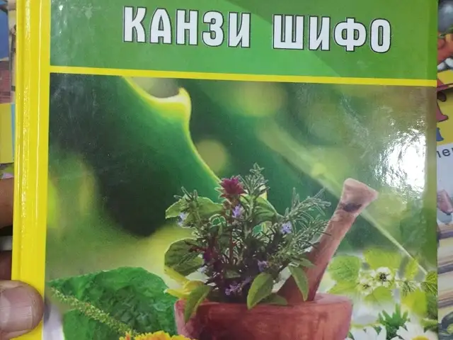 Китоби Канзи Шифо, Душанбе