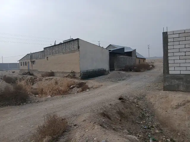 Ферма барои мурги бройлер, Худжанд