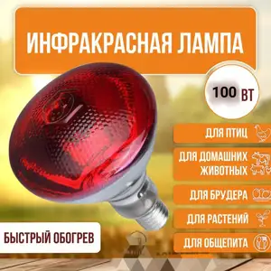 Инфракрасная лампа 100W \ 220V, Бохтар (Курган-Тюбе)