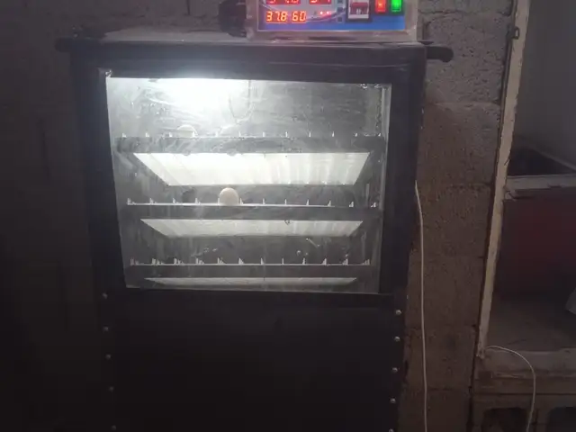 Инкубатор, Душанбе