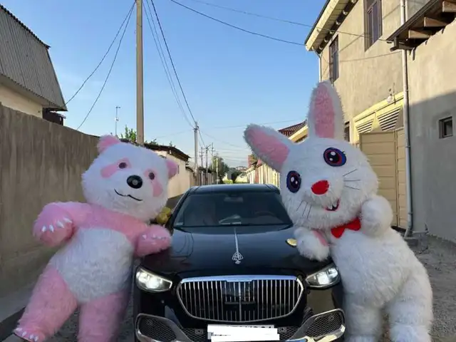 Услуги аниматора, Душанбе - 2