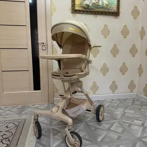 Коляска, Душанбе