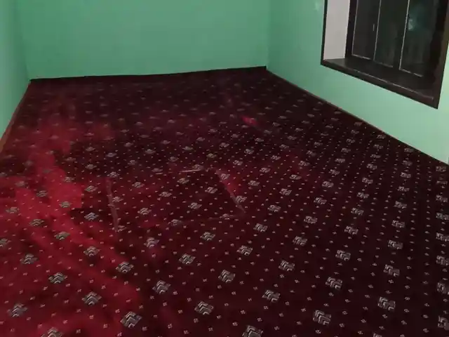 Колин, Душанбе