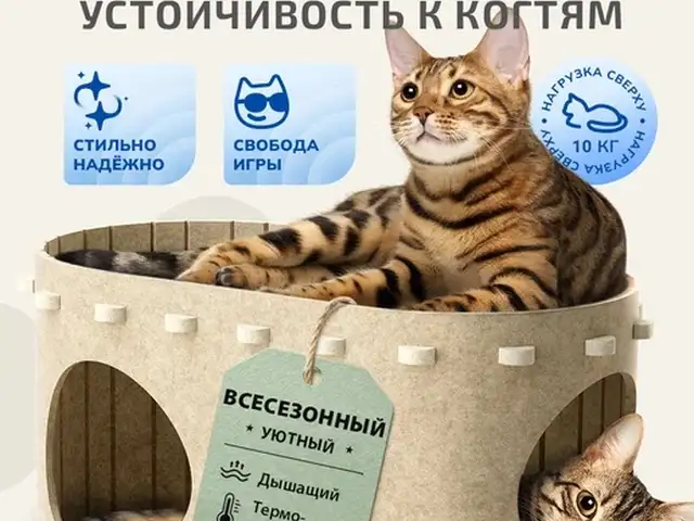 Домик для кошек, Бустон (Чкаловск)