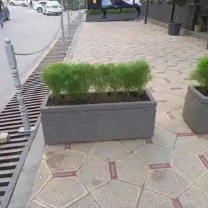Цветочница, Душанбе