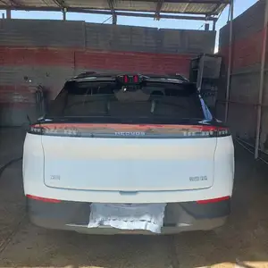 Dongfeng Hedmos 06