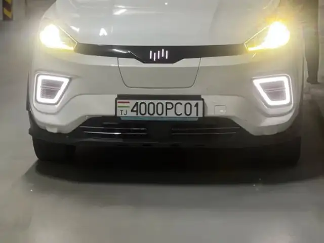 Weltmeister EX5