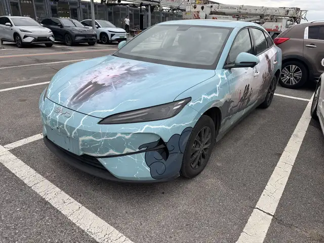BYD Другие модели