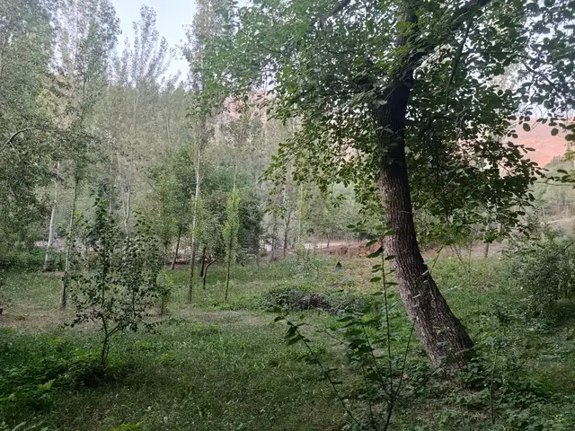 2 этажн. 2-комн. дом, 13 соток, деҳаи Кулоли Ҷамоати деҳоти Рӯдакӣ, Панҷакент - 10