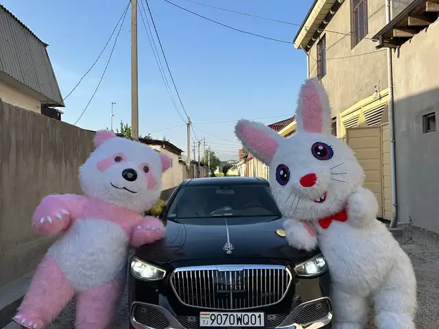 Услуги аниматоров, Душанбе