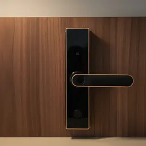 Умный дверной замок, Худжанд