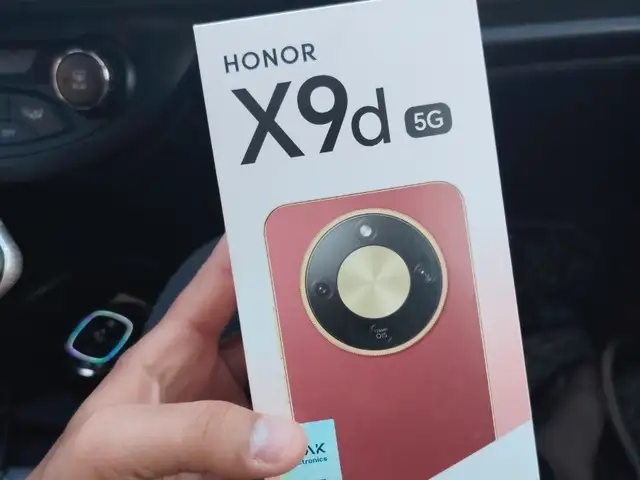 Honor x9d 12/256gb, Дангара