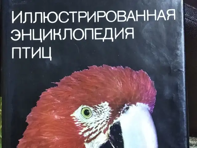 Книга Иллюстрированная энциклопедия птиц, Душанбе