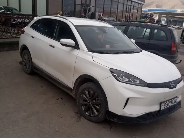 Weltmeister EX5