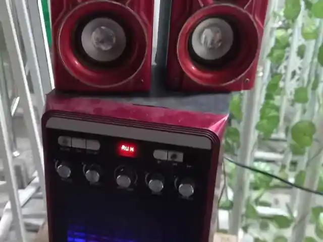 Сабвуфер, Хуҷанд