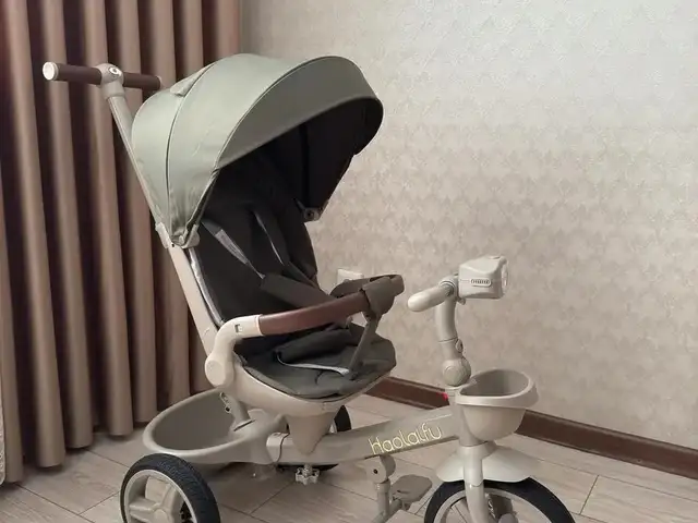 Велоколяска, Душанбе