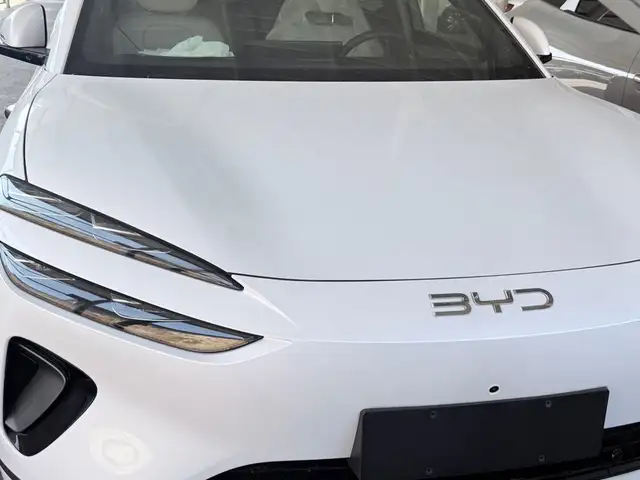 BYD Sea Lion 06