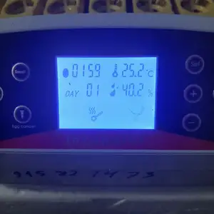 Инкубатор, Рудаки