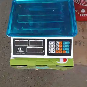 Весы, Душанбе