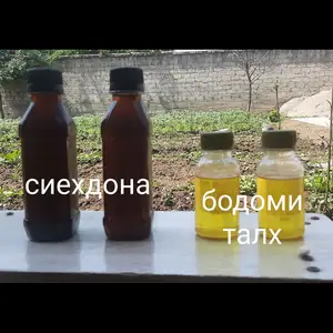 Равгани сиёхдона, Рӯдакӣ