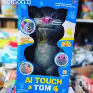 Большой том, Душанбе