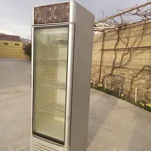 Витринный холодильник, Дангара